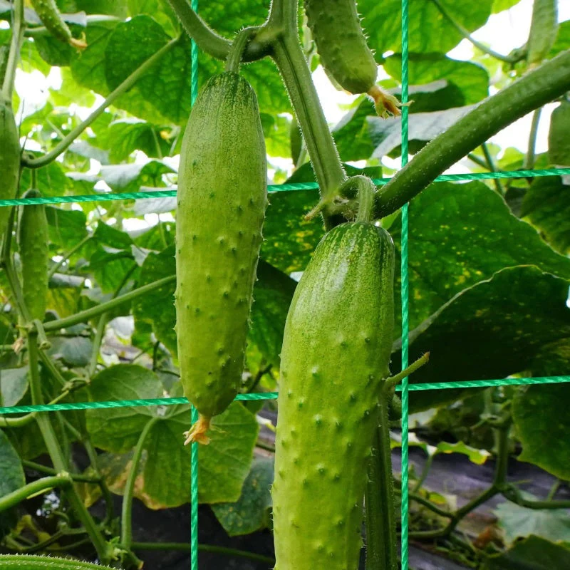 Produktbild 2